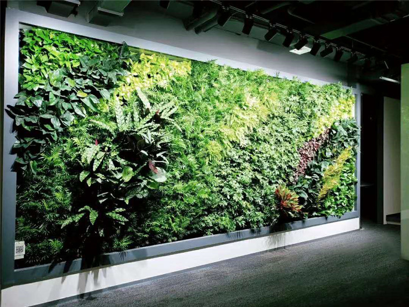 武漢立體植物墻施工養(yǎng)護(hù)